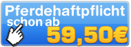 haftpflicht.org